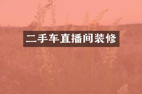 二手车直播间装修