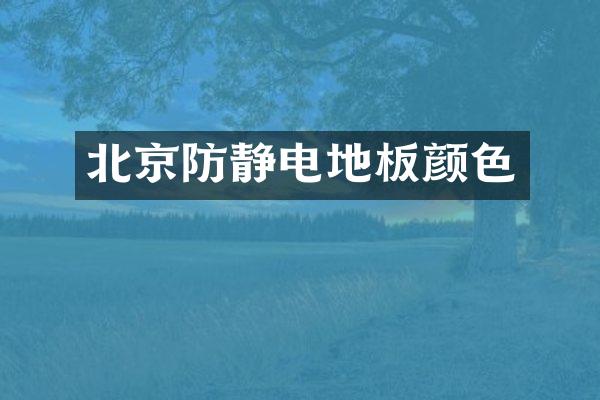 北京防静电地板颜色