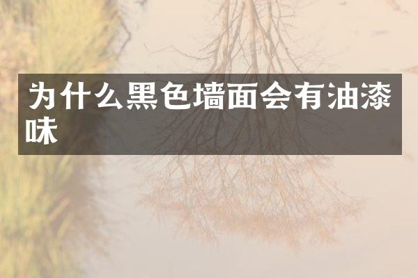 为什么黑色墙面会有油漆味