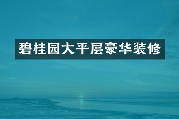 碧桂园大平层豪华装修
