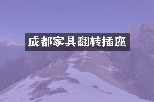 成都家具翻转插座