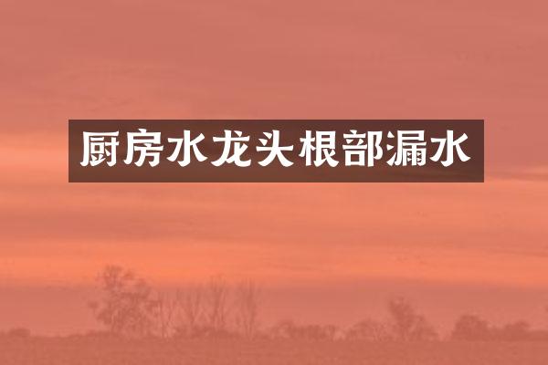 厨房水龙头根部漏水