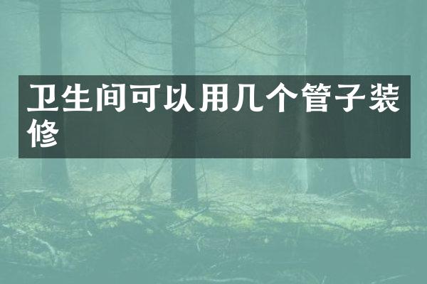 卫生间可以用几个管子装修