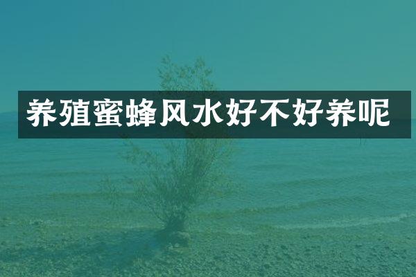 养殖蜜蜂风水好不好养呢
