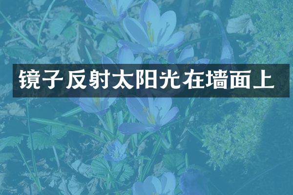镜子反射太阳光在墙面上