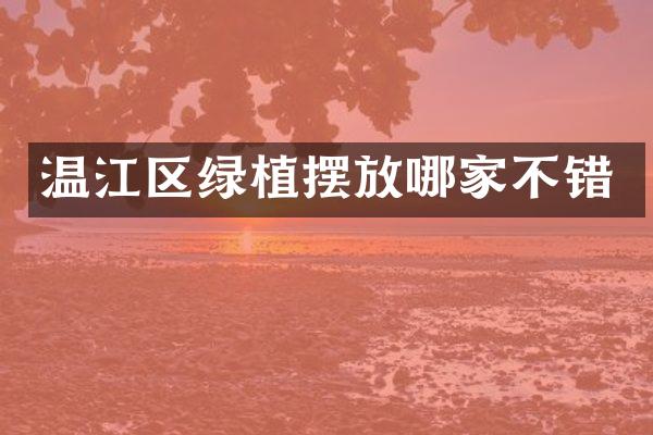 温江区绿植摆放哪家不错