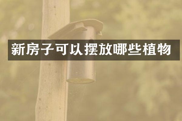 新房子可以摆放哪些植物