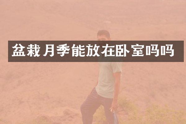 盆栽月季能放在卧室吗吗