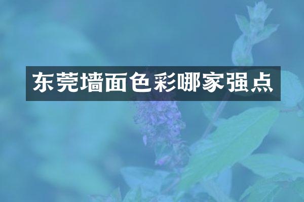 东莞墙面色彩哪家强点