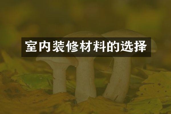 室内装修材料的选择