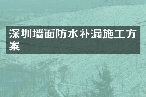 深圳墙面防水补漏施工方案