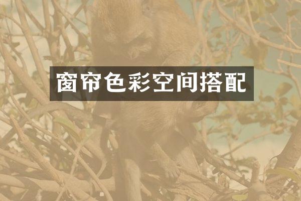 窗帘色彩空间搭配