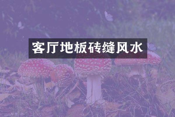 客厅地板砖缝风水