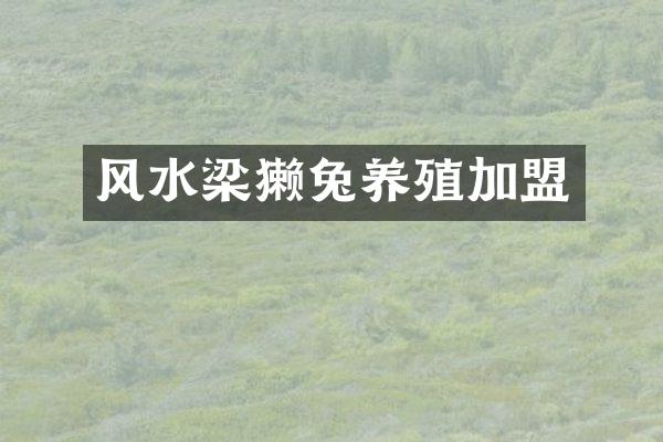 风水梁獭兔养殖加盟