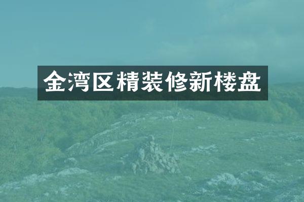 金湾区精装修新楼盘