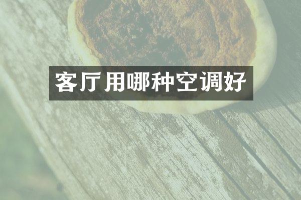 客厅用哪种空调好