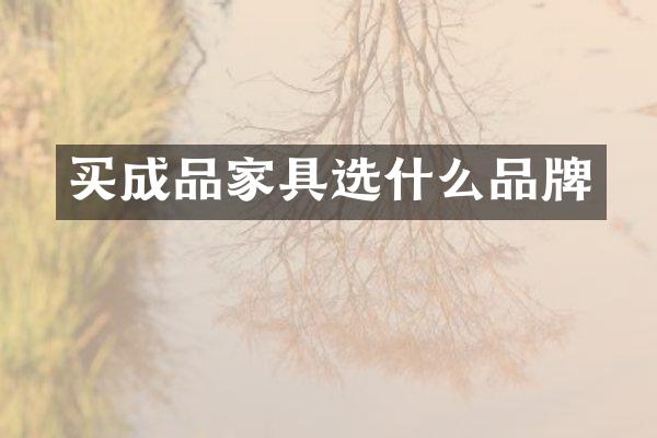买成品家具选什么品牌