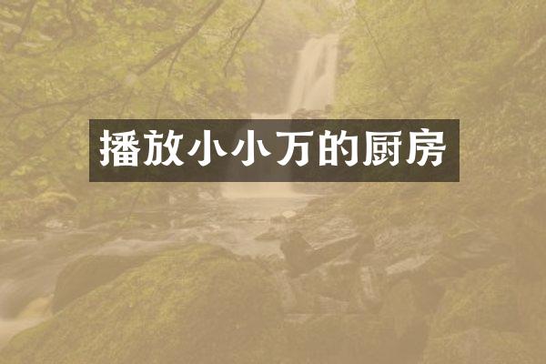 播放小小万的厨房