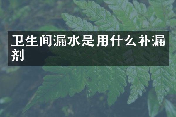 卫生间漏水是用什么补漏剂