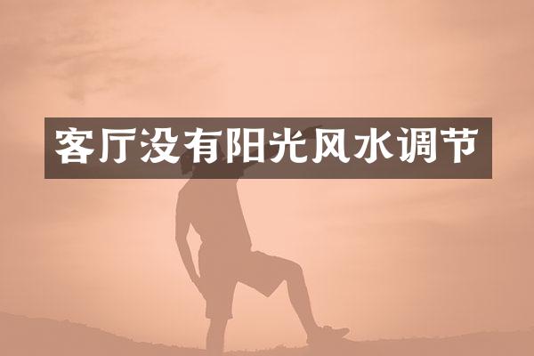 客厅没有阳光风水调节