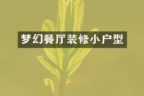 梦幻餐厅装修小户型