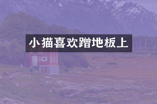小猫喜欢蹭地板上