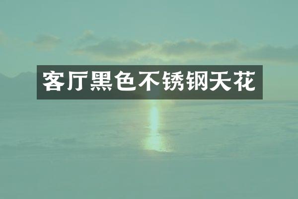 客厅黑色不锈钢天花