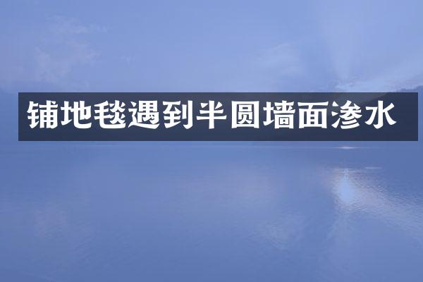 铺地毯遇到半圆墙面渗水