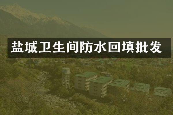 盐城卫生间防水回填批发