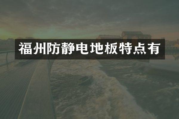 福州防静电地板特点有