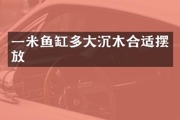 一米鱼缸多大沉木合适摆放