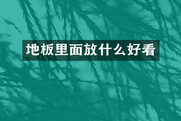 地板里面放什么好看