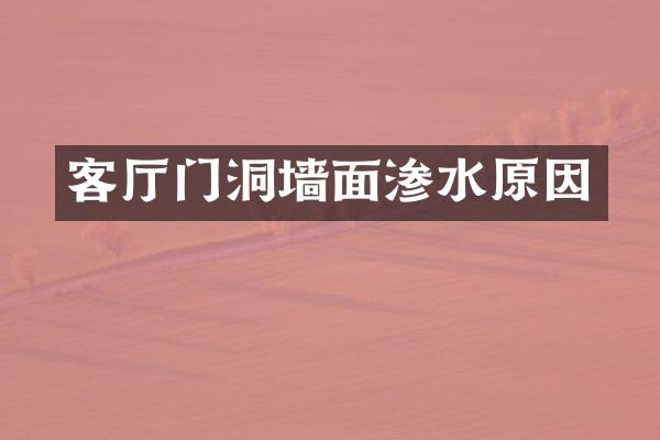 客厅门洞墙面渗水原因