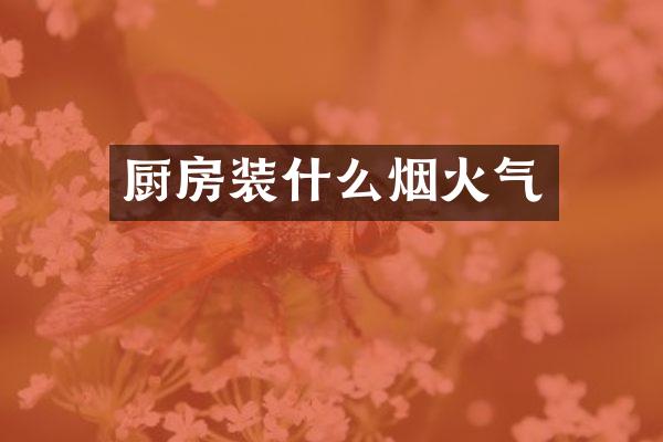 厨房装什么烟火气
