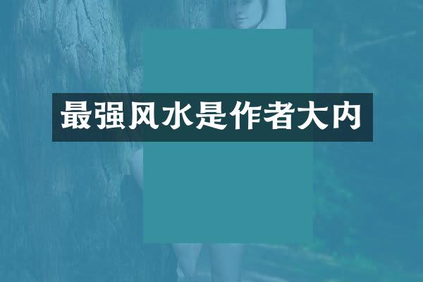 最强风水是作者大内
