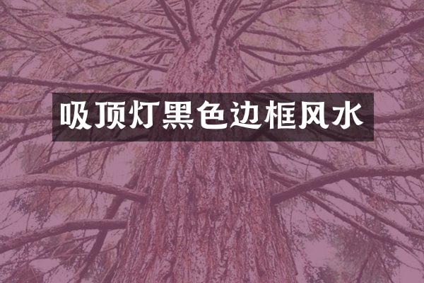 吸顶灯黑色边框风水