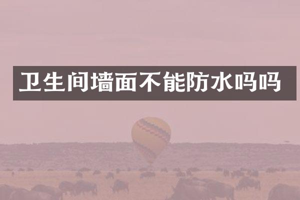 卫生间墙面不能防水吗吗