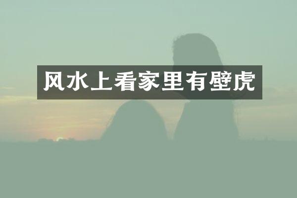风水上看家里有壁虎