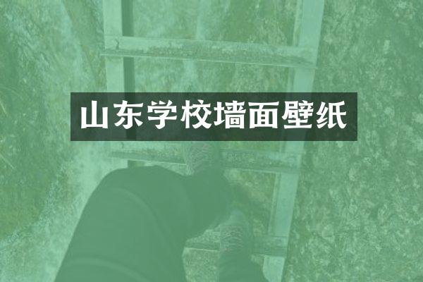 山东学校墙面壁纸