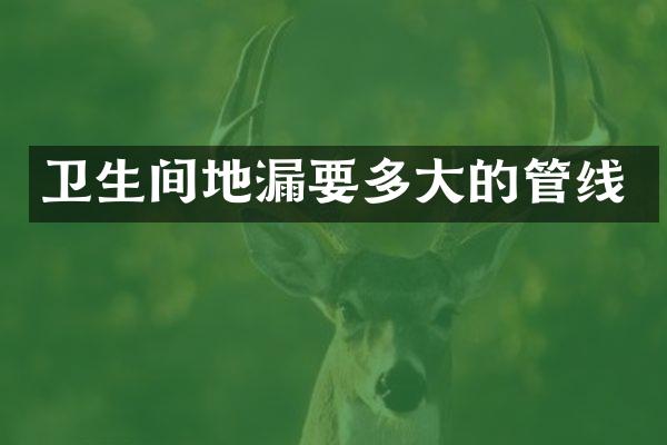 卫生间地漏要多大的管线