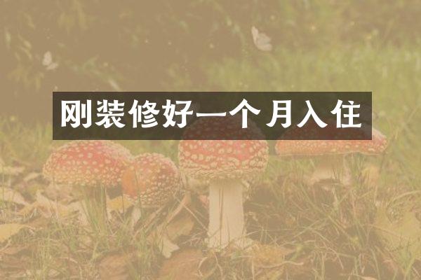 刚装修好一个月入住