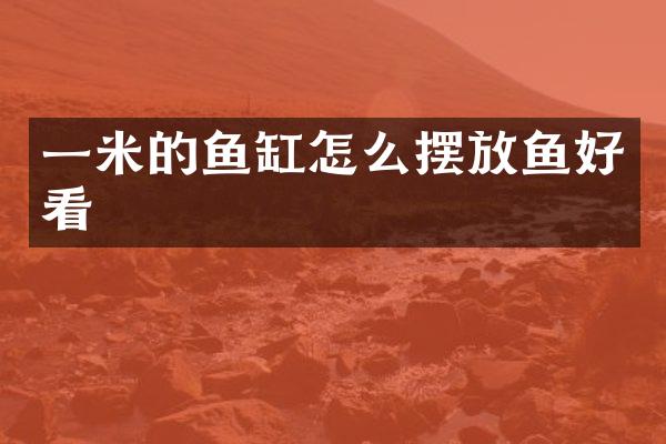 一米的鱼缸怎么摆放鱼好看