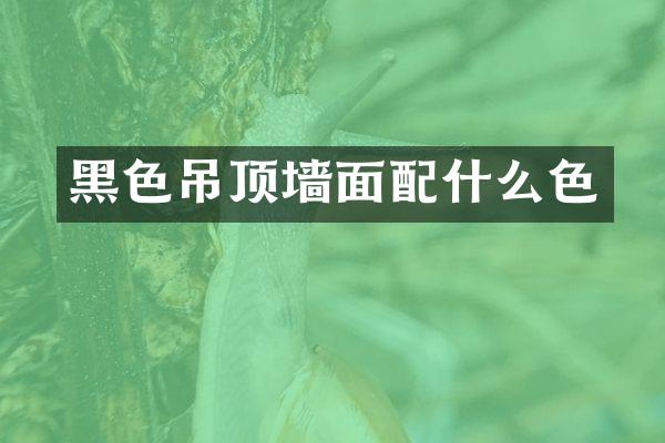 黑色吊顶墙面配什么色
