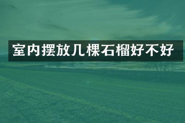 室内摆放几棵石榴好不好