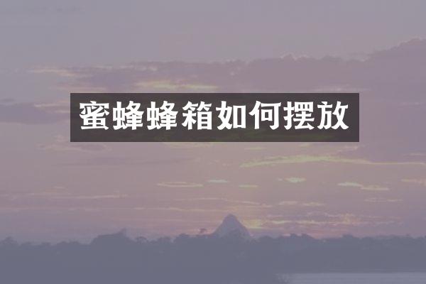 蜜蜂蜂箱如何摆放