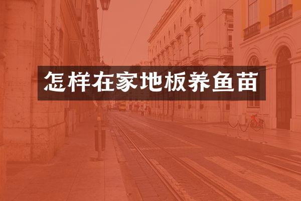 怎样在家地板养鱼苗