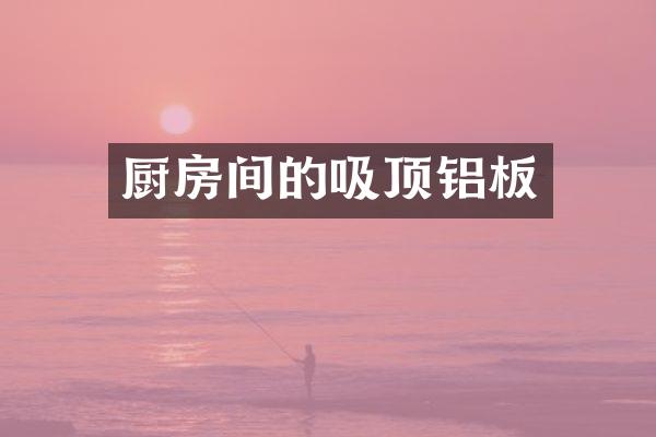 厨房间的吸顶铝板