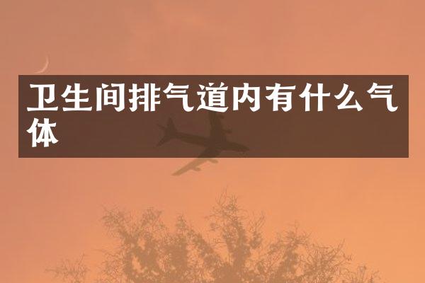 卫生间排气道内有什么气体