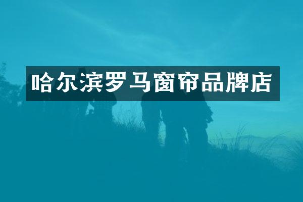 哈尔滨罗马窗帘品牌店
