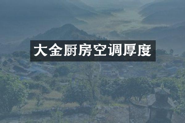 大金厨房空调厚度